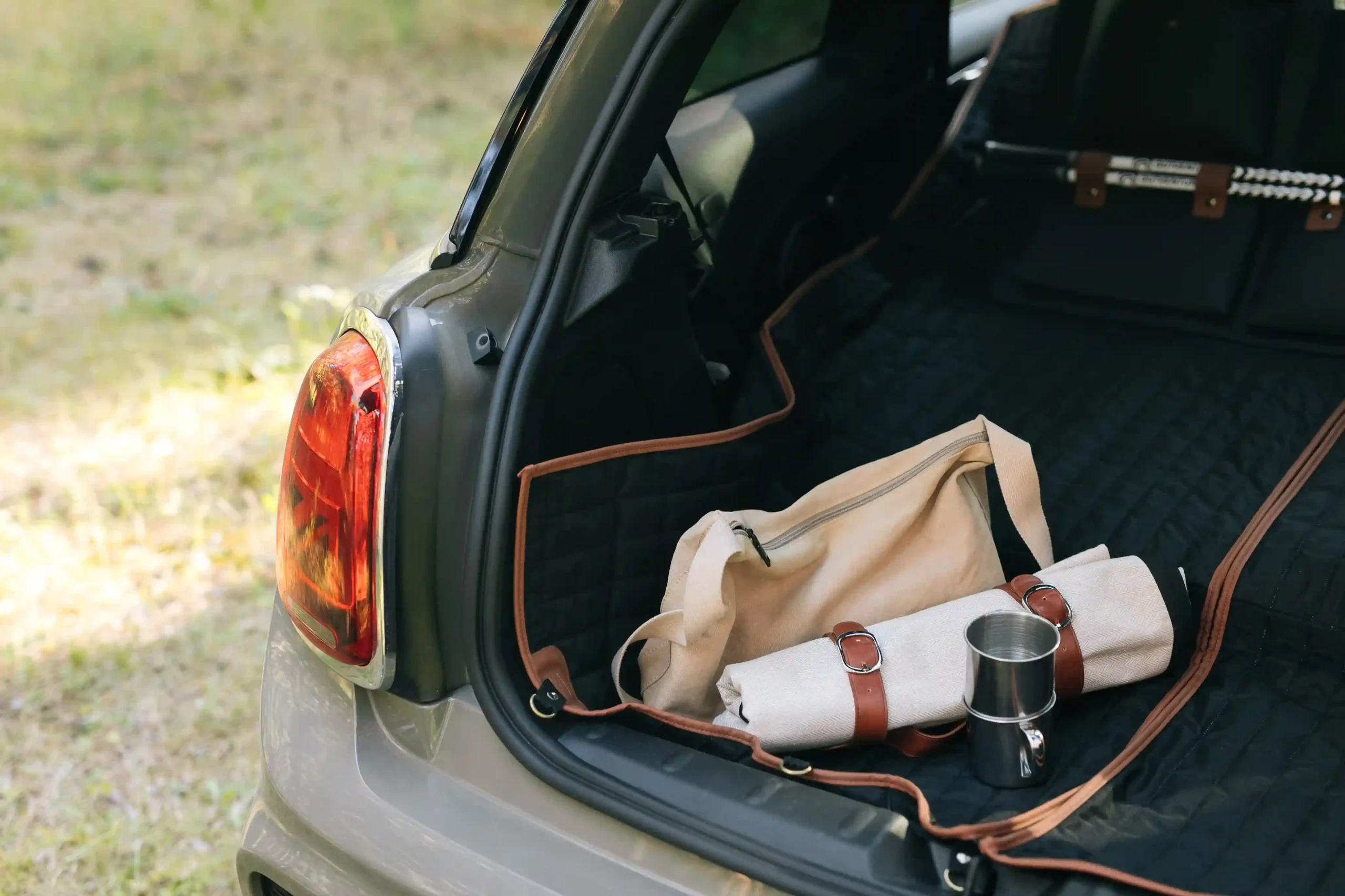 best portable picnic blanket