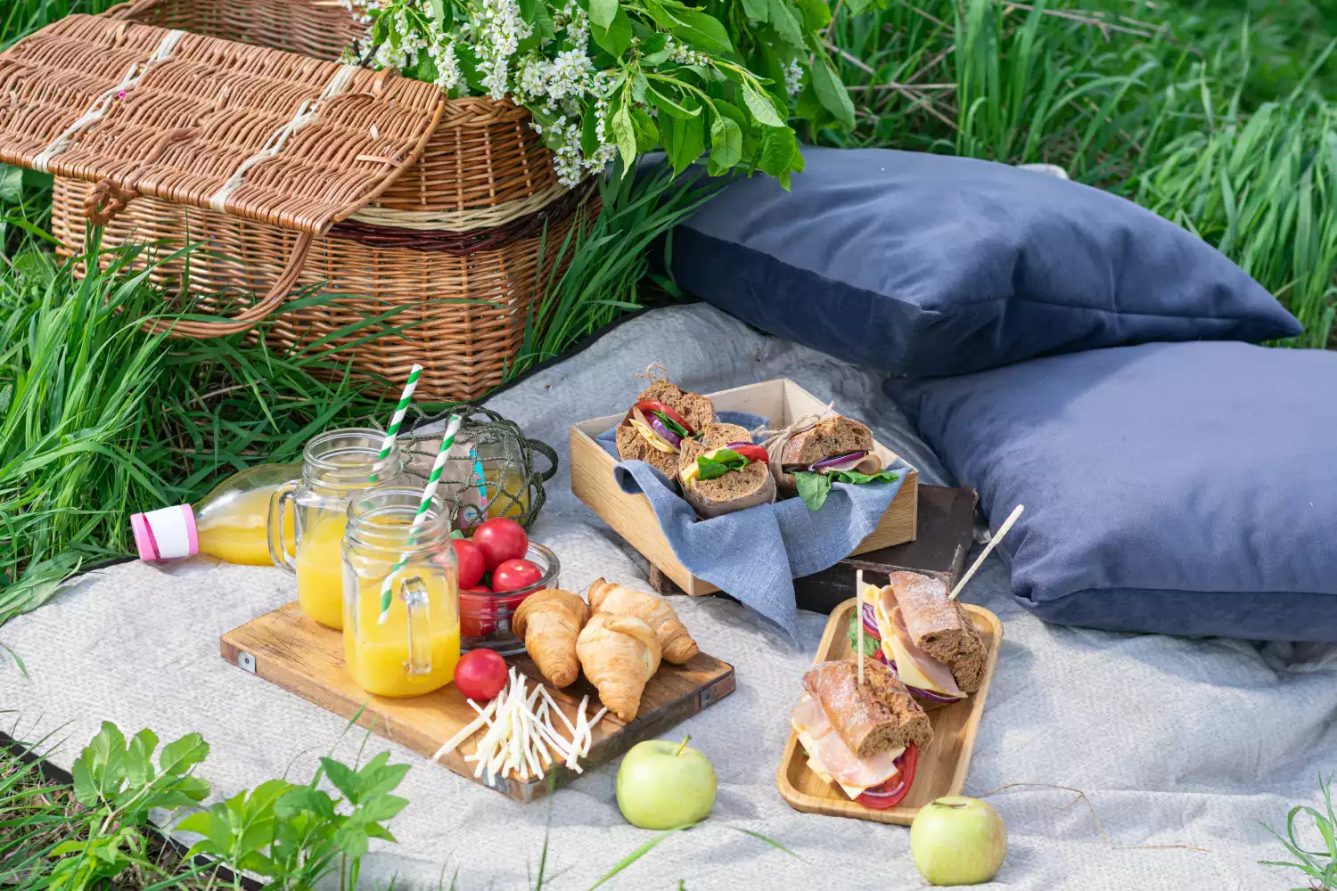 modern picnic blanket